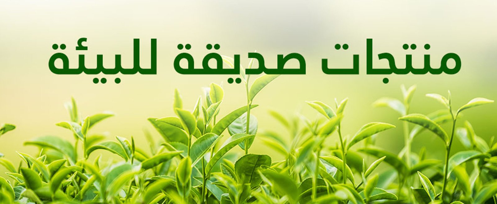 نيو 1 اغسطس
